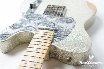 Brad Paisley Road Worn Telecaster